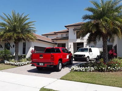 Orlando Wildlife Removal