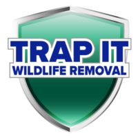 Trap It Logo