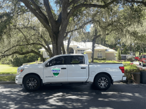 Orlando Wildlife Removal