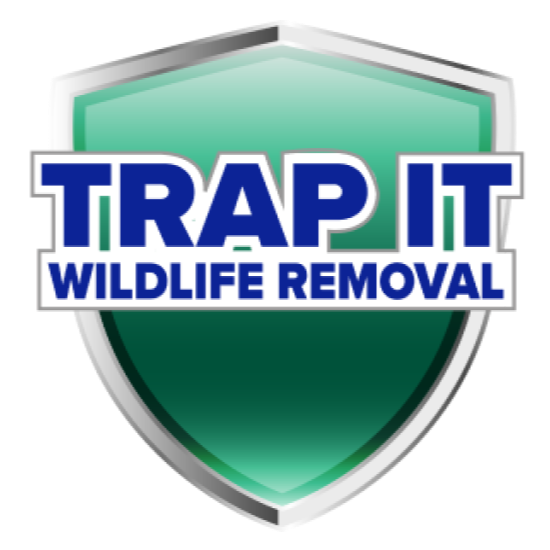 Trap It Logo