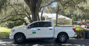 Orlando Wildlife Removal Service calls
